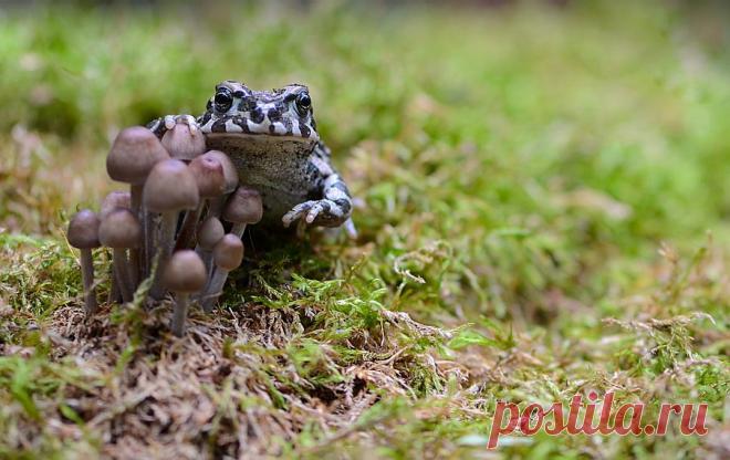 35PHOTO - Вячеслав Мищенко - Уходи! Это все мое!