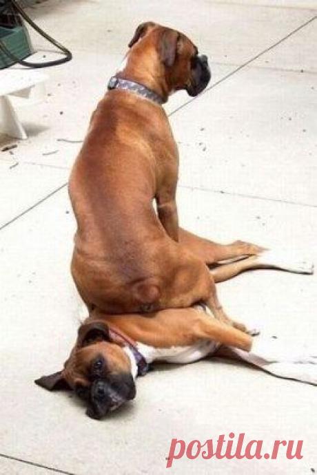 Иногда счастье сваливается так неожиданно, что не успеваешь отскочить в сторону)