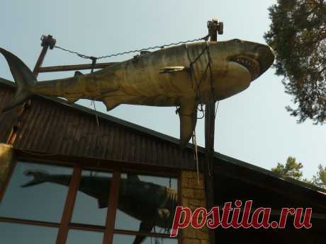 Удачная рыбалка - запас таранки к пиву на целый год