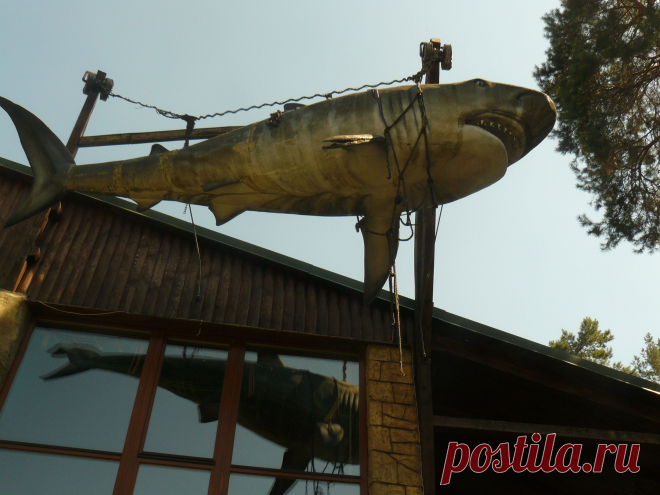 Удачная рыбалка - запас таранки к пиву  на целый год