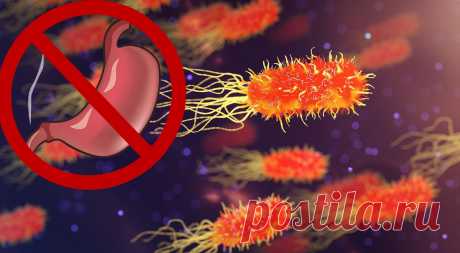 Четыре причины низкой эффективности лечения хеликобактер пилори
H.pylori, Helicobacter pylori (хеликобактер пилори) — один из наиболее распространенных микроорганизмов, способных вызывать эрозии, язвенную болезнь и злокачественное новообразование желудка. Распространенность H.pylori составляет около 44,3% во всем мире. У пациентов , инфицированных H.pylori, риск развития язвенной болезни в...
Читай пост далее на сайте. Жми ⏫ссылку выше
