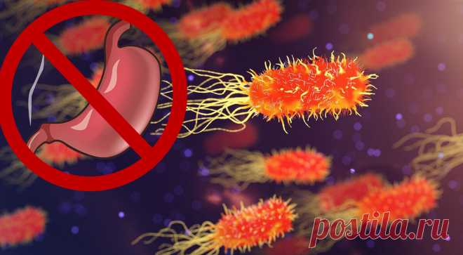 Четыре причины низкой эффективности лечения хеликобактер пилори
H.pylori, Helicobacter pylori (хеликобактер пилори) — один из наиболее распространенных микроорганизмов, способных вызывать эрозии, язвенную болезнь и злокачественное новообразование желудка. Распространенность H.pylori составляет около 44,3% во всем мире. У пациентов , инфицированных H.pylori, риск развития язвенной болезни в...
Читай пост далее на сайте. Жми ⏫ссылку выше
