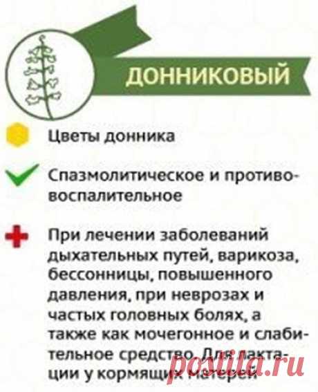 Как отличить настоящий мёд от ненастоящего? 

1. Настоящий мёд засахаривается снизу, а не сверху. 
2. Капля настоящего мёда, капнутая на запястье, не растекается. 
3. Если мёд, налитый в бутылку, перевернуть, то всплывают два пузыря воздуха – сначала первый большой, затем второй маленький. 

Если переворачивать не бутылку, а банку (литровую или трёхлитровую), то воздушный пузырь должен быть один. Если всплывают еще несколько маленьких пузырей – мёд ненастоящий. 
4. Тонкая ...