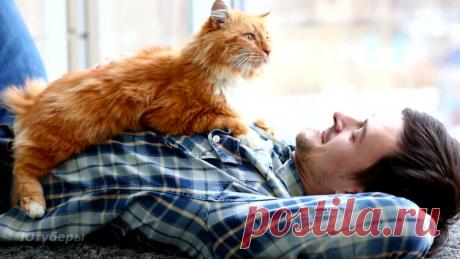 Шутник. Олег Бондаренко » Женский Мир