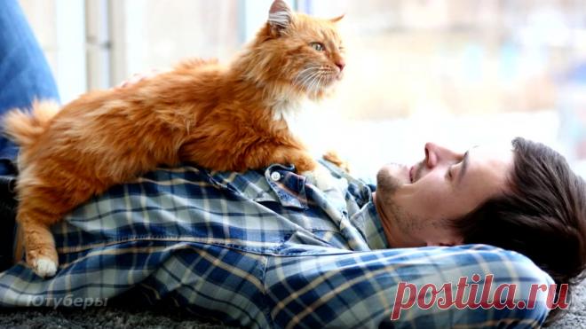 Шутник. Олег Бондаренко &raquo; Женский Мир