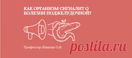 Как организм сигналит о болезни поджелудочной? | Шишова Ольга Ивановна | Дзен