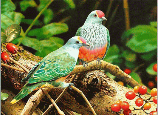 Mariq Petrova - Google+