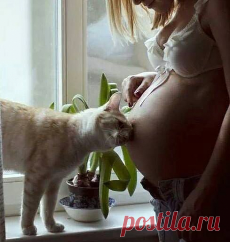 ❁⁀ ♥ ⁀✿ Amor ❁⁀ ♥ ⁀✿
