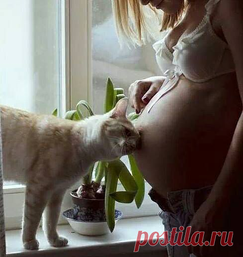 ❁⁀ ♥ ⁀✿ Amor ❁⁀ ♥ ⁀✿