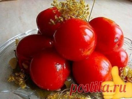 Засолка помидоров холодным способом 
Почему холодный способ засолки помидоров считается самым правильным? Все просто: при "холодной засолке" томаты максимально сохраняют все свои полезные вещества и свойства. 
Ингредиенты: 
Помидоры — 1 По вкусу (сколько поместится в банки) 
Укроп — По вкусу 
Листья смородины и хрена — По вкусу 
Чеснок — 3 Штуки 
Перец острый — 1 Штука 
Уксус — 1 Стакан (маринад) 
Вода — 9 Литров (маринад) 
Соль — 1 Стакан (маринад) 
Сахар — 1 Стакан (мари...