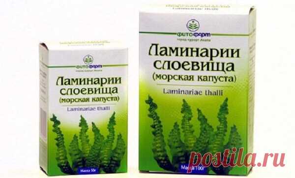 Как принимать сушенную морскую капусту