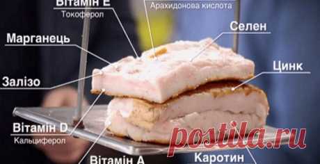 САЛО ВМЕСТО ТАБЛЕТОК: ЛЕЧИТ БРОНХИТ, ОЧИЩАЕТ ПЕЧЕНЬ, ОЗДОРОВЛЯЕТ ЖЕЛЧНЫЙ, ПРОГОНЯЕТ ОСТЕОХОНДРОЗ И РЕВМАТИЗМ | Женский журнал MouNews