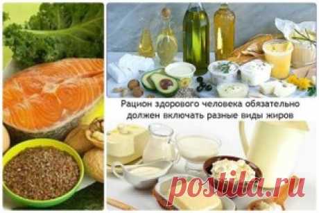 Нужны ли жиры для здоровья? | Rain international