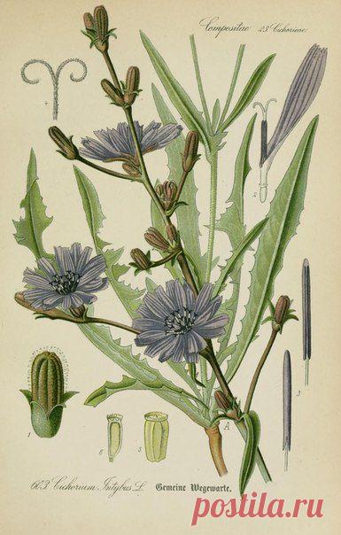 ~ MON PLAISIR ~ Вещи для души. Винтаж,Прованс.