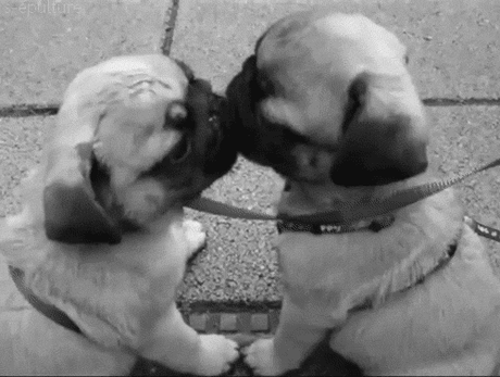 Анимашки(gif) | Группы Мой Мир