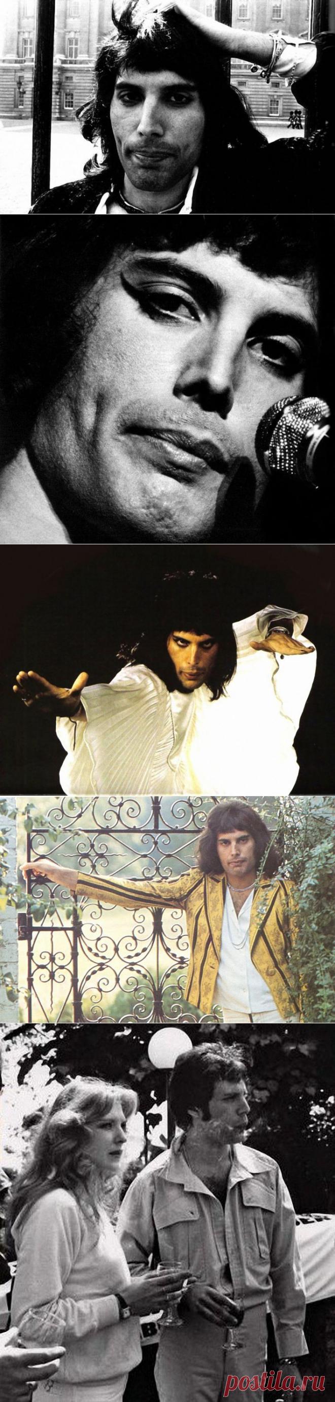 Памяти Фредди Меркьюри | Все о Музыке