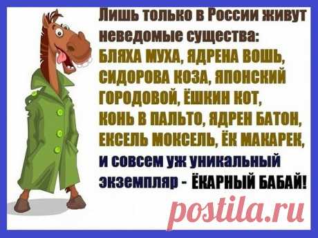КУРИЦА В КЕФИРЕ 

ИНГРЕДИЕНТЫ:
● 1 курица
● 0,5-0,75 л кефира
● соль, приправы для курицы

ПРИГОТОВЛЕНИЕ:
Курицу промыть, разрубить на порционные куски. Затем посыпать солью и щедро приправкой для курицы.
Кусочки курицы переложить в емкость для маринования и залить кефиром, чтобы он полностью покрыл курочку. Оставить мариноваться минимум на 2 часа.Затем переместить курочку в огнеупорную форму вместе с маринадом и запечь при 180*С около часа до румяной корочки.