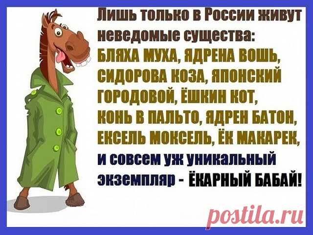 КУРИЦА В КЕФИРЕ 

ИНГРЕДИЕНТЫ:
● 1 курица
● 0,5-0,75 л кефира
● соль, приправы для курицы

ПРИГОТОВЛЕНИЕ:
Курицу промыть, разрубить на порционные куски. Затем посыпать солью и щедро приправкой для курицы.
Кусочки курицы переложить в емкость для маринования и залить кефиром, чтобы он полностью покрыл курочку. Оставить мариноваться минимум на 2 часа.Затем переместить курочку в огнеупорную форму вместе с маринадом и запечь при 180*С около часа до румяной корочки.