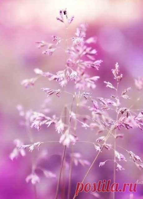 С добрым утром! 💟 💐 / Универсальная мамочка