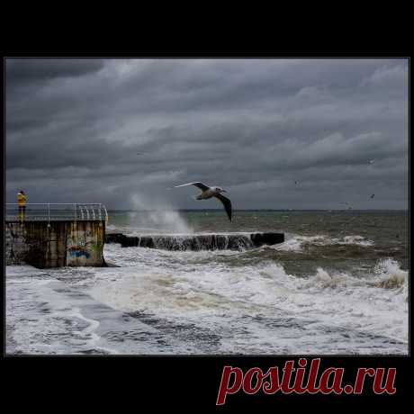 Фотографія Над седой волной.. / Дмитрий Домбровский / photographers.ua