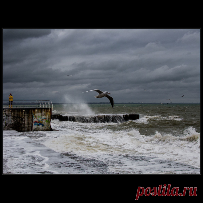 Фотографія Над седой волной.. / Дмитрий Домбровский / photographers.ua