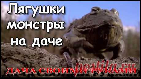 Плейлист Дача Своими Руками. смотреть онлайн в хорошем качестве