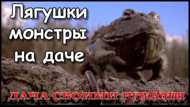 Плейлист Дача Своими Руками. смотреть онлайн в хорошем качестве