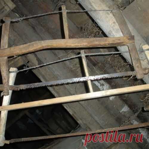 Навеяло на даче...