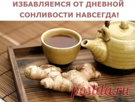 ИЗБАВЛЯЕМСЯ ОТ ДНЕВНОЙ СОНЛИВОСТИ НАВСЕГДА!
Готовим волшебный имбирный чай. Он улучшает кровообращение, тонизирует, защищает от простуд и согревает, стимулирует пищеварение, разжижает кровь. Также эффективен при атеросклерозе и способствует избавлению от кашля. Активизирует обмен веществ,укрепляет иммунитета. Способствует выведению шлаков и токсинов из всего организма. У него много полезных свойств, но главное - имбирный чай избавляет от постоянной сонливости и беспричинного недомогания!
На 0,