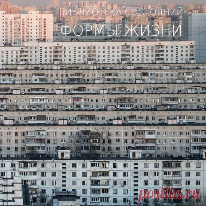 Библиотека состояний - Формы жизни - METICULOUS MIDGETS - сетевой арт-лейбл, интернет-радио