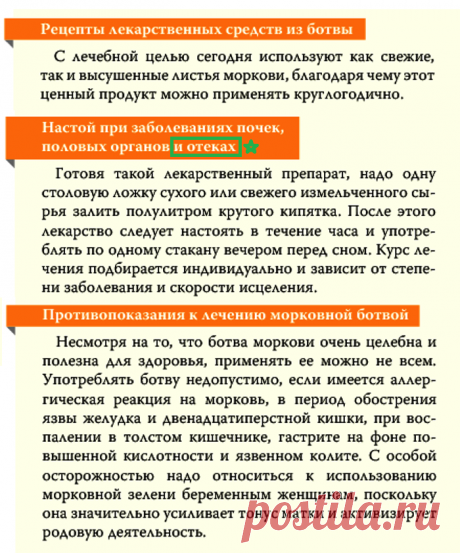 Настой морковной ботвы при заболеваниях почек, половых органов и отеках