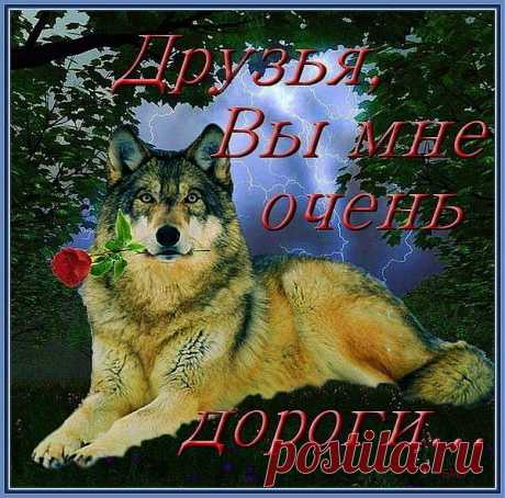 Мой Мир@Mail.Ru