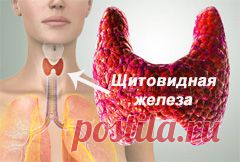 Признаки заболевания щитовидной железы - Всегда в форме!