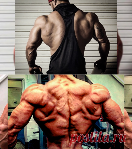 Шокирующая тренировка спины. Для тех, кто хочет стать шире | fitnechannel | Дзен