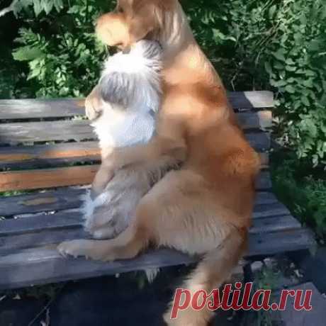 Одноклассники