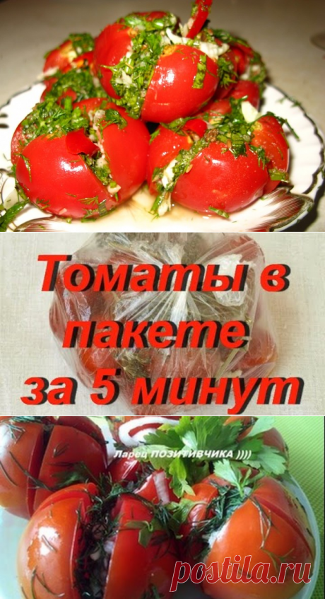 ВКУСНЕЙШИЕ в ПАКЕТАХ и ПОМИДОРЧИКИ, и ОГУРЧИКИ "Страсть, как вкусно" 

Ингредиенты: 

- 1 кг. помидор или огурцов 
- 1 ст. л. соли 
- 1 ч. л. сахара 
- укроп, 
- 1-2 головик чеснока.