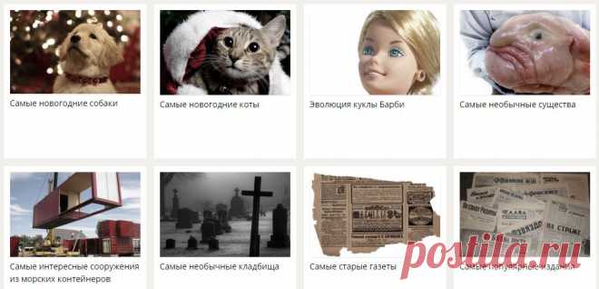 Интересные факты: от "Самые новогодние собаки" до "Самые красивые дома в мире" ...