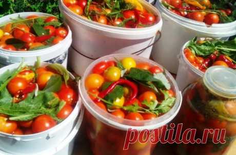 Вкуснейшие помидорки, квашенные с сахаром - Любимые рецепты