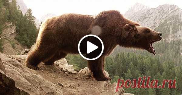 Гениальная короткометражка о стойкости и надежде.