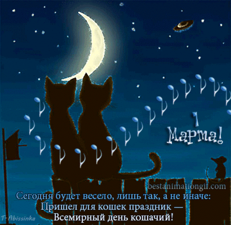 С Днём Кошек