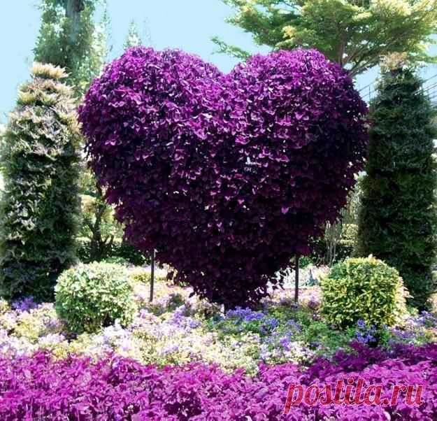 25 Vertical Landscaping Ideas Adding Spectacular Centerpieces to Backyard…