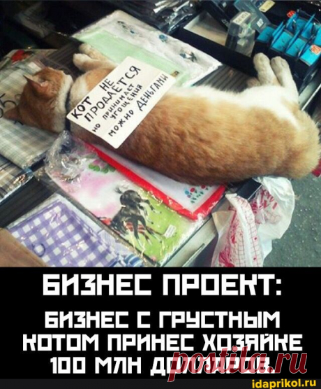 БИЗНЕС БИЗНЕС С ГРУСТНЫМ НОТОМ ПРИНЕС ХОЗЯЙНЕ 100 МЛН ДОЛЛАРОВ. - АйДаПрикол