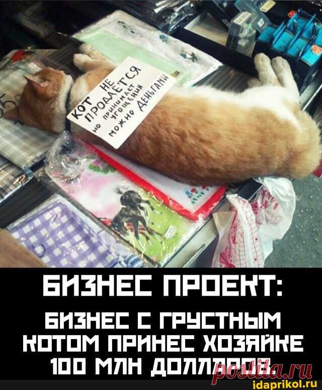 БИЗНЕС БИЗНЕС С ГРУСТНЫМ НОТОМ ПРИНЕС ХОЗЯЙНЕ 100 МЛН ДОЛЛАРОВ. - АйДаПрикол