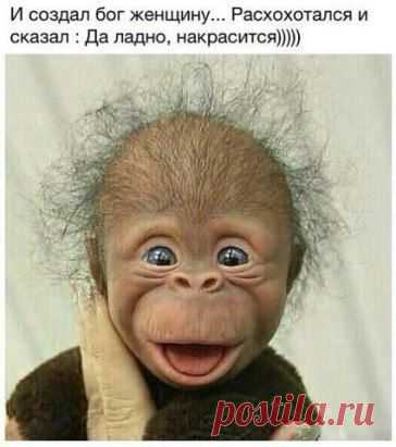Бедные женщины!