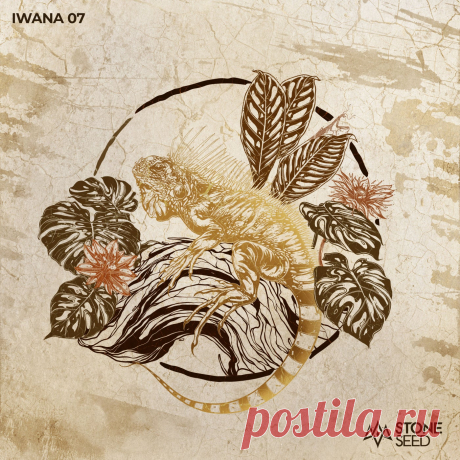 VA - IWANA 07 SS077 » MinimalFreaks.co