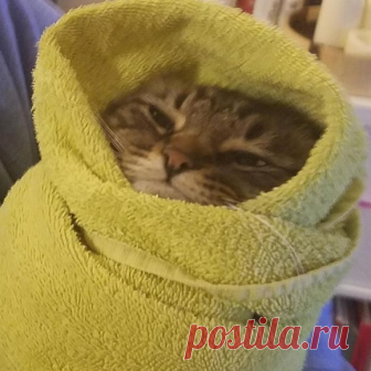 Фотографии, доказывающие, что в этом мире не всё так плохо Не сложился денёк? Тогда приготовьтесь, потому что прямо сейчас мы постараемся сделать его в 1000 раз лучше! Далее вас ждут очаровательные фотографии, которые 100%-но растопят даже самые холодные сердца.