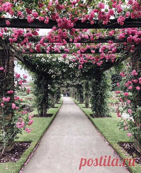 Kew Gardens, London
