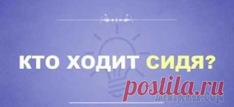 9 простых загадок, над которыми придется поломать голову 9 простых загадок, над которыми придется поломать голову.Мы хотим увести вас от этих стереотипов и предлагаем немного пошевелить мозгами.Загадка №1
В этой загадке нужно мыслить шире. Она не так проста...