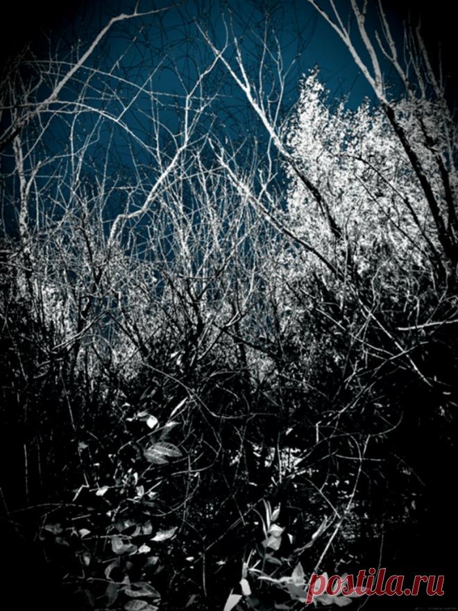 Плейкаст «Предзимье»