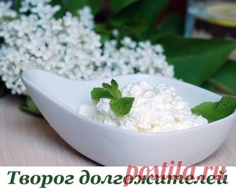 (1) Полезные Советы - ПОПРОБУЙТЕ! ЛИМОННЫЙ ТВОРОГ — ЕДА ДОЛГОЖИТЕЛЕЙ!...